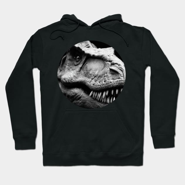 Tyrannosaurus Rex - carnivorous dinosaur Hoodie by SG-Nogalte